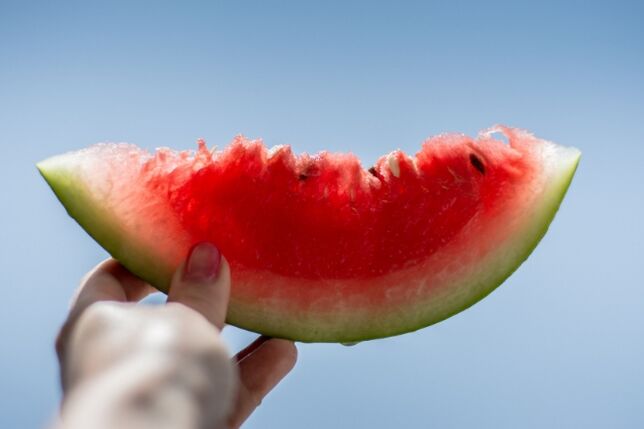 شرائح البطيخ